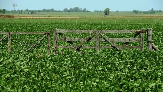 Arrendamientos agrícolas: tres fuerzas en puja por los precios