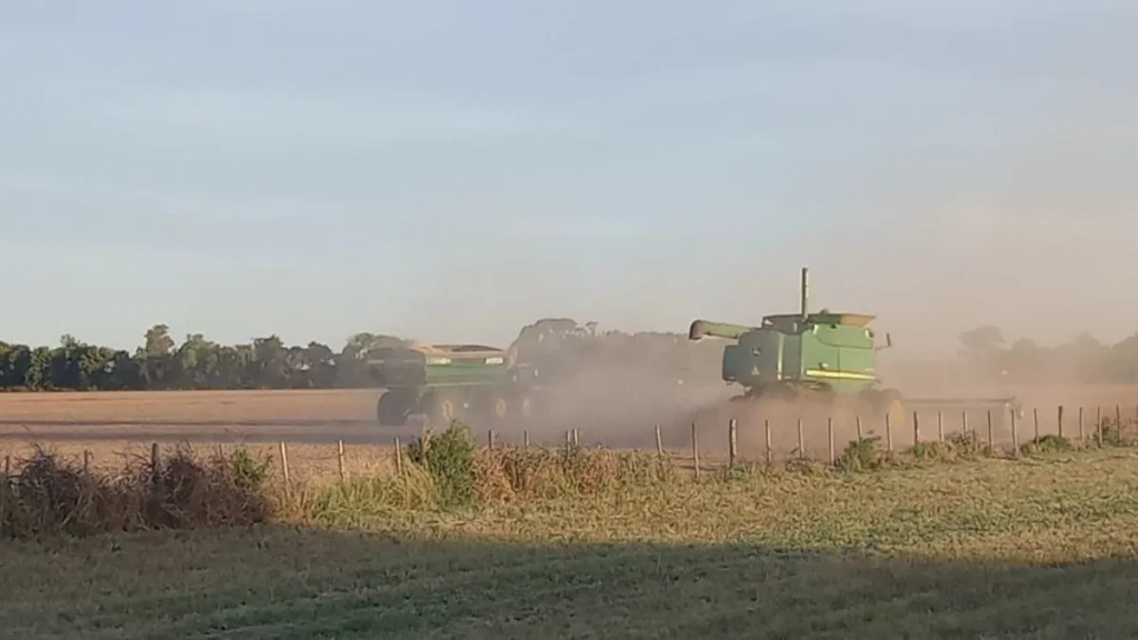 Soja temprana en Santa Fe: la producción final supera los 3,5 millones de toneladas