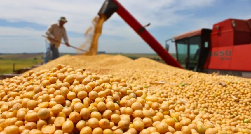Sin mercado no hay negocio: claves para que el productor defienda el precio de su cosecha
