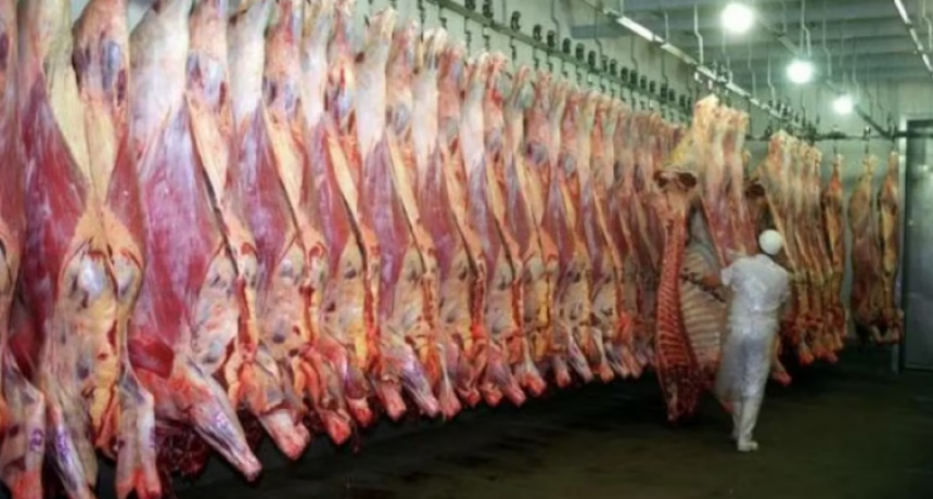 Tras 24 años de prohibición, el Gobierno permitió el ingreso de carne con hueso a la Patagonia