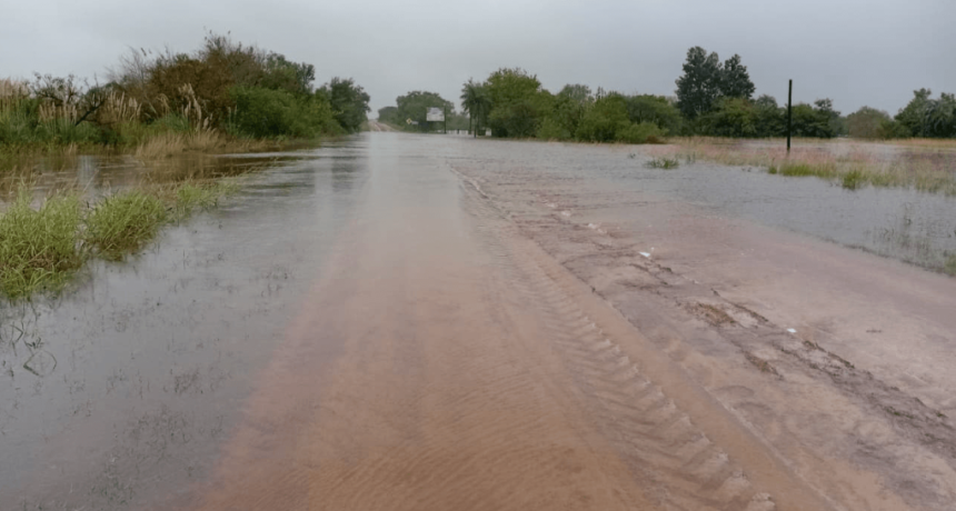Santa Fe: aceleran la declaraci&oacute;n de emergencia agropecuaria en las zonas inundadas