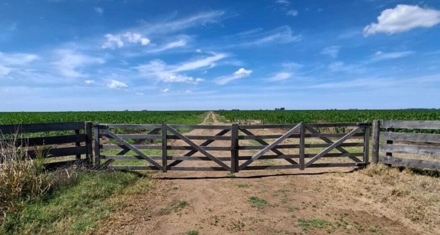 Dos miradas sobre la Ley de Tierras Rurales: &iquest;llave para el desarrollo o desequilibrio estructural?