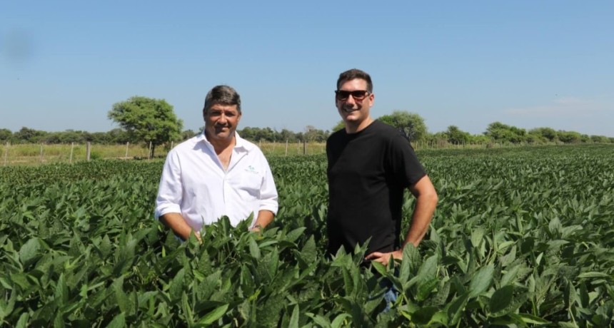 Al estilo Brasil: los hermanos Soneira rotan soja y ma&iacute;z en Formosa, y logran una doble cosecha gruesa