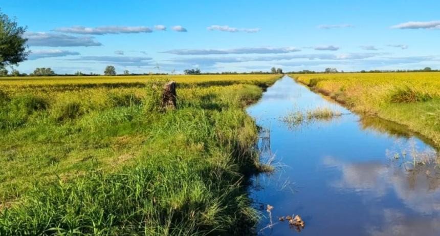 Preocupa El Ni&ntilde;o en Rafaela: productores piden planificaci&oacute;n y obras urgentes