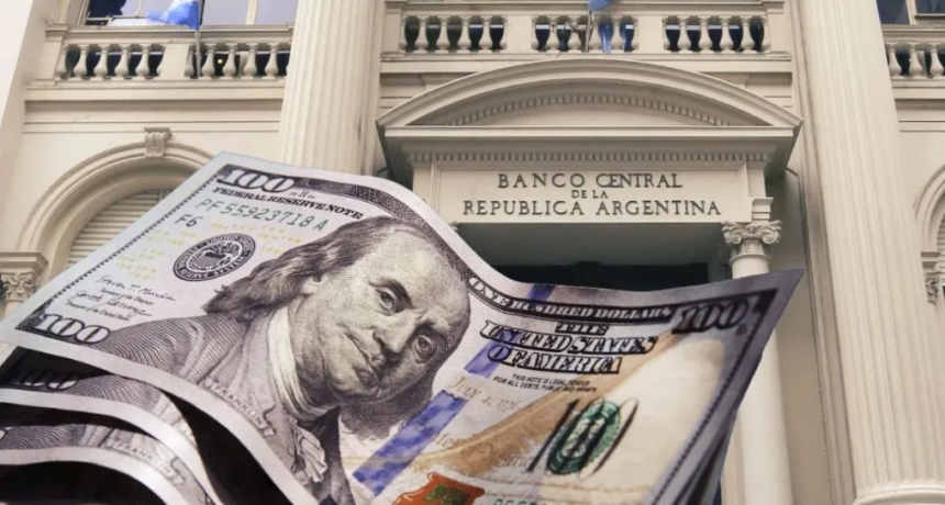 &iquest;Cepo al d&oacute;lar?: la definici&oacute;n del presidente del BCRA que sorprendi&oacute; a todos