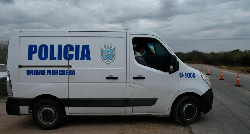 Conmoci&oacute;n en Bandera: un hombre de 91 a&ntilde;os muri&oacute; tras un feroz ataque de abejas