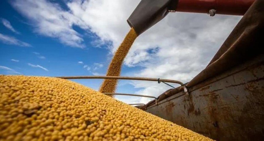 Con la soja guardada, la industria sale a pagar m&aacute;s: la pulseada que cambia las reglas del mercado