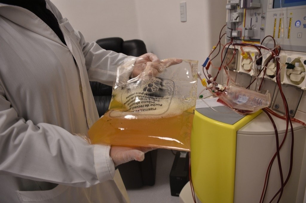 Tras un año del tratamiento con plasma, cuáles son los resultados y por qué recomiendan donar