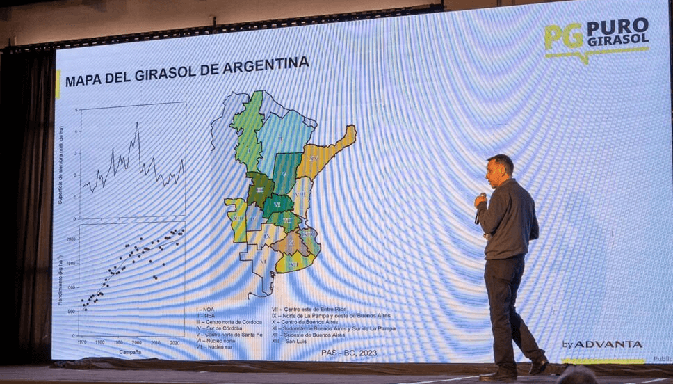 El girasol va por otro año dorado: “Hay que verlo como un buen negocio”