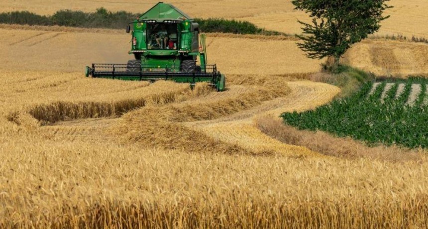 Lo que las retenciones se llevaron: en Entre Ríos, el equivalente a 3.700 tractores por año