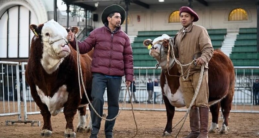 Exposiciones ganaderas: el Senasa actualizó los requisitos para el control y traslado de animales
