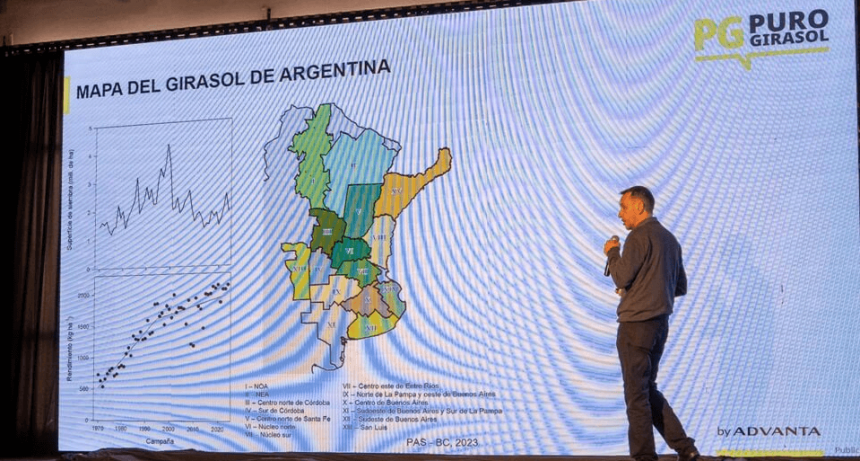 El girasol va por otro año dorado: “Hay que verlo como un buen negocio”