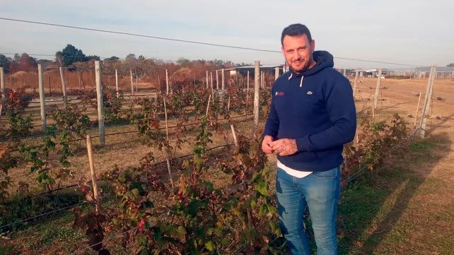 Cosecharás tu siembra: un plan orgánico e intensivo