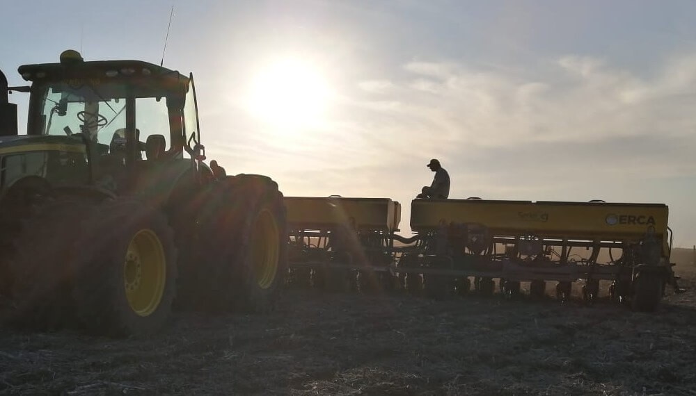 Soja 2025/26: la primera proyección de siembra del Gobierno marca 500.000 hectáreas menos