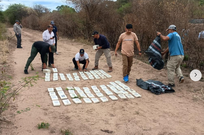 Detuvieron a los pilotos de la narcoavioneta y decomisaron 364 kilos de cocaína
