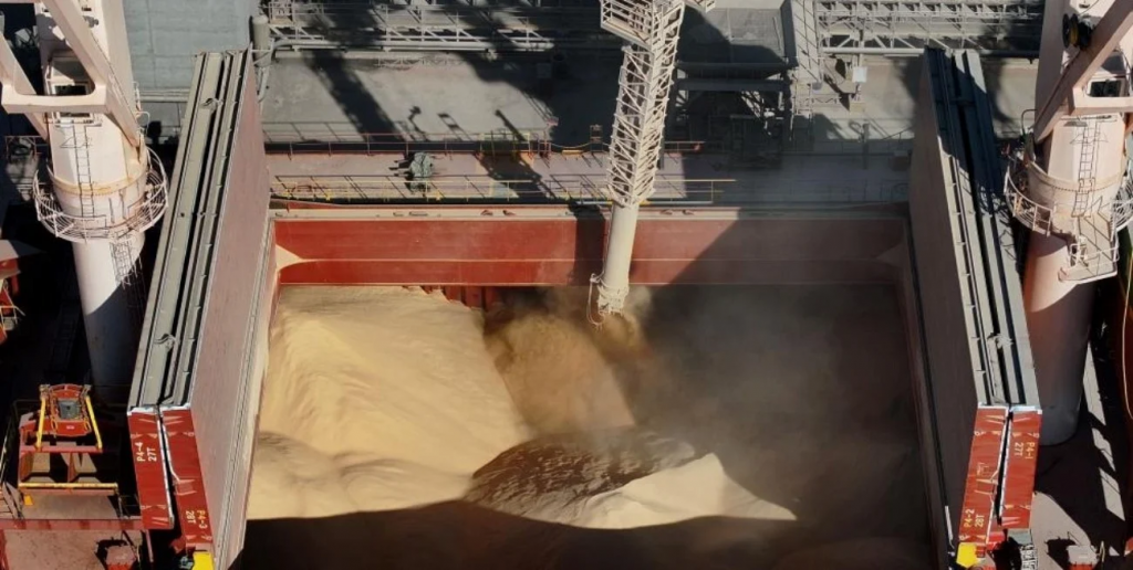 La harina de soja: el producto que más exporta Argentina y cómo cambiaron sus mercados