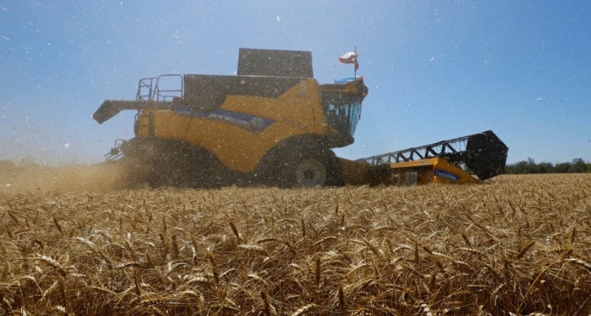El trigo arrancó con todo: el avance de cosecha más rápido de la historia