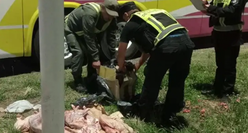 Secuestran más de 20 animales faenados durante un control vehicular en Arrufó