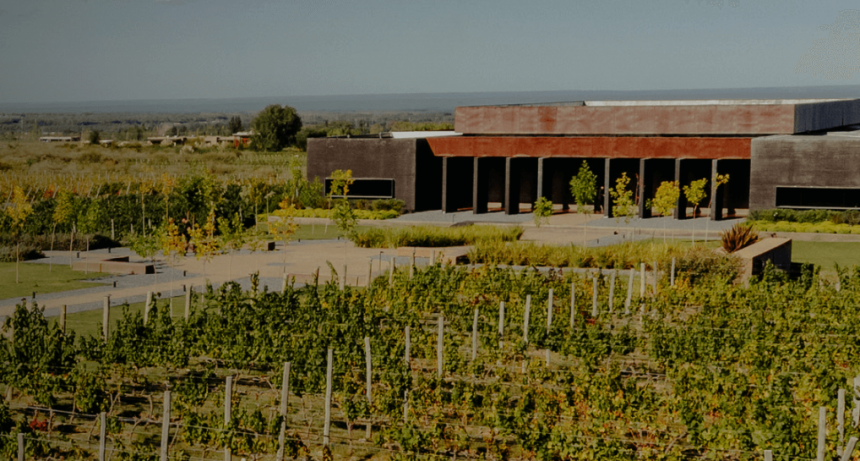 Las polémicas de ‘Chiqui’ Tapia también llegan al agro: quién está detrás de la bodega vinculada con la AFA