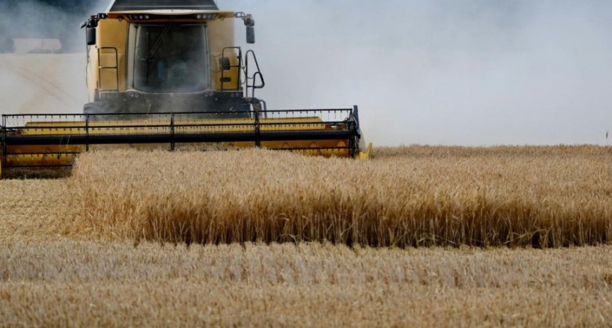 Las bolsas celebran el “paso”, camino a la “eliminación” de las retenciones