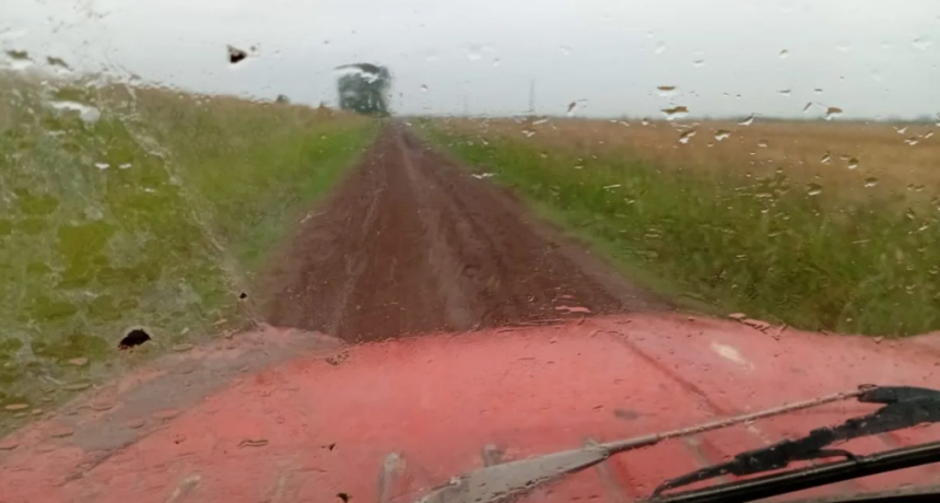 Lluvias en Santa Fe: el ranking de milímetros y qué cambia para girasol, maíz y algodón