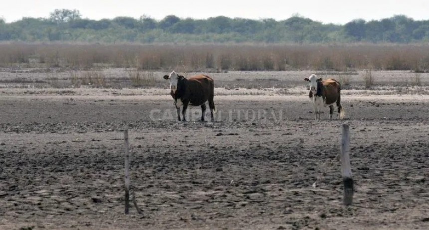  Llega otra ola de calor, en medio de algunas "inestabilidades"