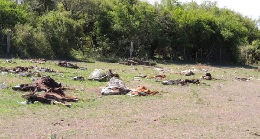 Sequ&iacute;a: piden que Santiago del Estero abra sus compuertas para que haya un caudal normal del r&iacute;o