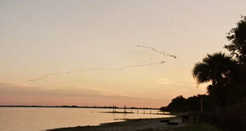 Las consecuencias de la sequía en Santa Fe: 