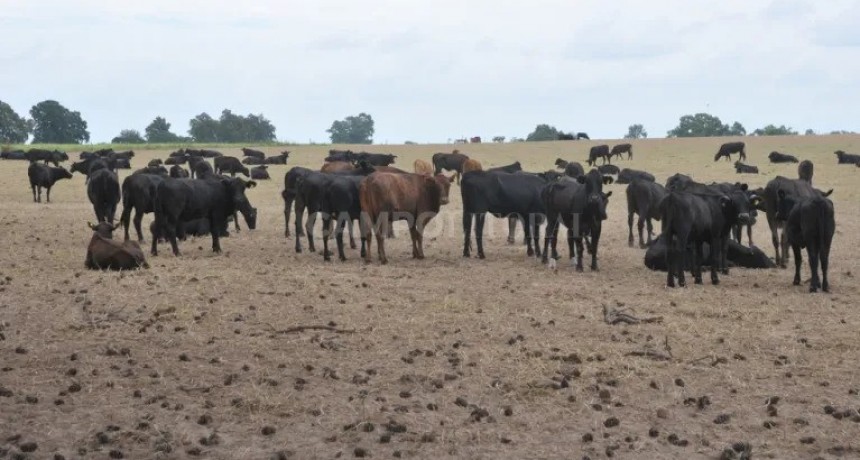 Productores santafesinos piden que se garanticen los beneficios de la emergencia