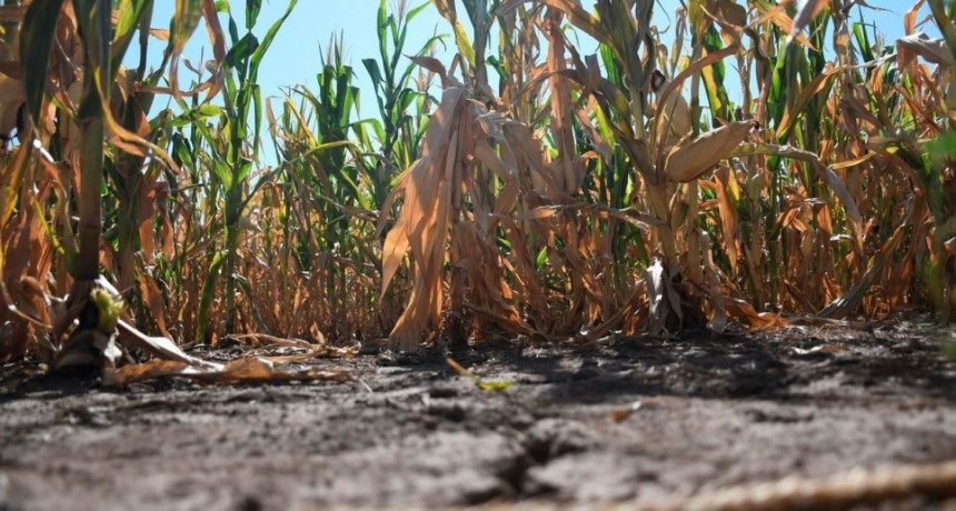 Bahillo acompañará a Costamagna para completar ayudas ante la sequía