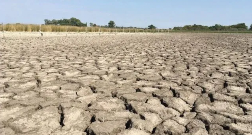 Sequía en el norte: el secretario de Agricultura llega a Santa Fe y entregará fondos por $1.300 millones