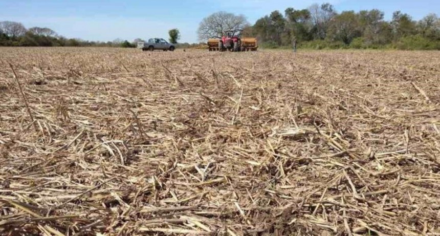 La Mesa de Enlace reclama 