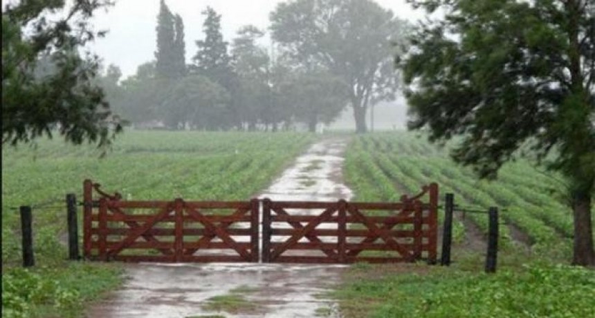 Las lluvias aliviaron al campo e impulsarán la finalización de la siembra de soja y maíz