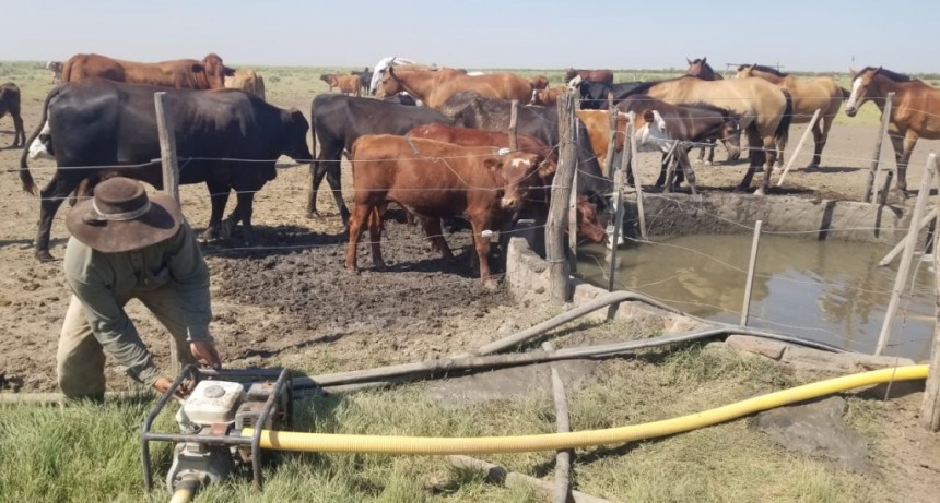 Integrantes de la mesa de trabajo armada a instancia del gobierno para asistir a los productores afectados por la sequ&iacute;a, visitaron a los vecinos ubicados a la vera de la Ruta 31 con el fin de observar en el terreno el estado de situaci&oacute;n.