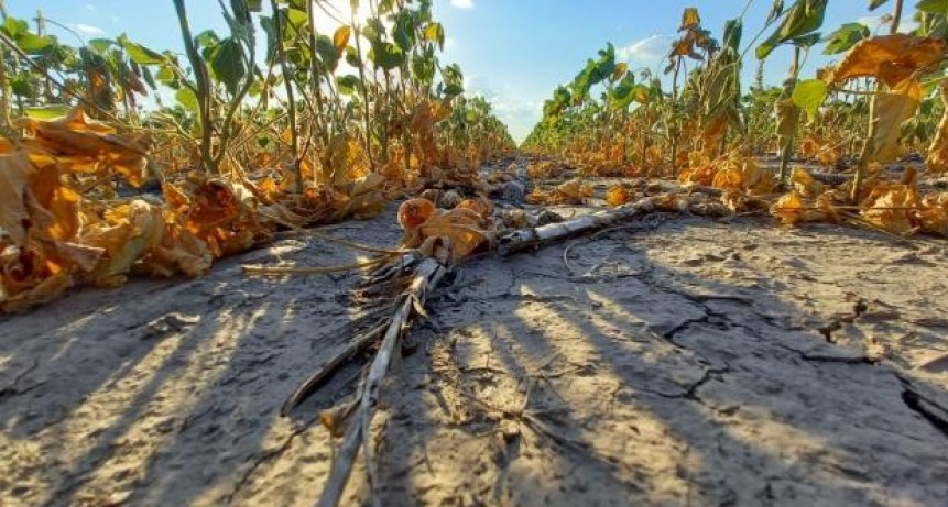 Impulsan una nueva línea de financiamiento por $500 millones para productores afectados por la sequía 