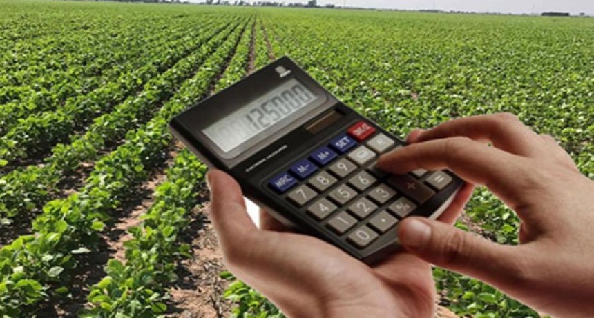 Estiman márgenes negativos para el campo cordobés con las nuevas medidas del gobierno nacional