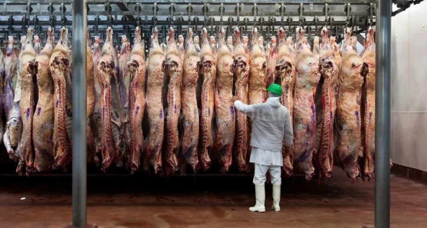 Se liberó la exportación de carne bovina