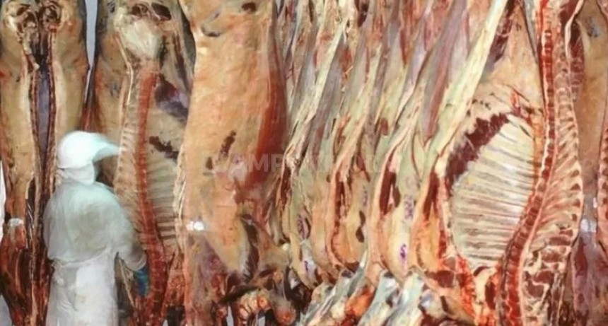 Ley ómnibus: frigoríficos celebran las pautas para el sector 