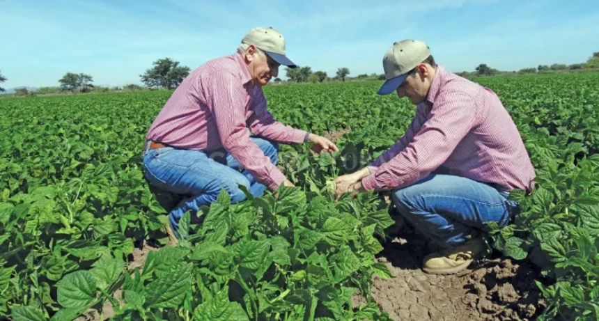  Agrónomos coinciden con las reformas, pero advierten: hay que poner el caballo adelante del carro