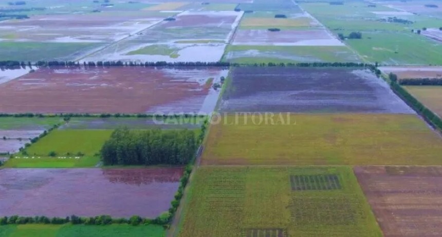 Agricultura en alerta: qué hacer para salir bien parado del exceso de lluvias