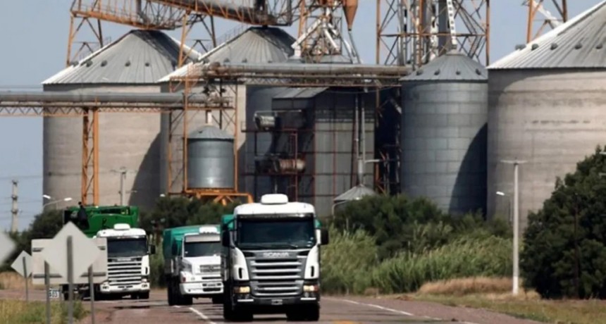 Santa Fe logró modificar la propuesta de Milei sobre biocombustibles: el corte mínimo podría ser del 10% 