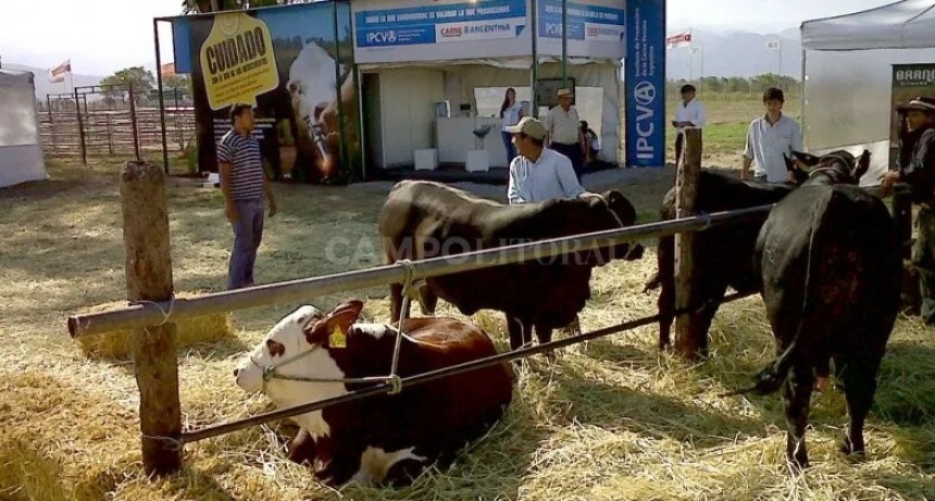  Todo mal con el IPCVA: ocho rurales santafesinas piden eliminar la obligatoriedad del aporte que realizan los ganaderos