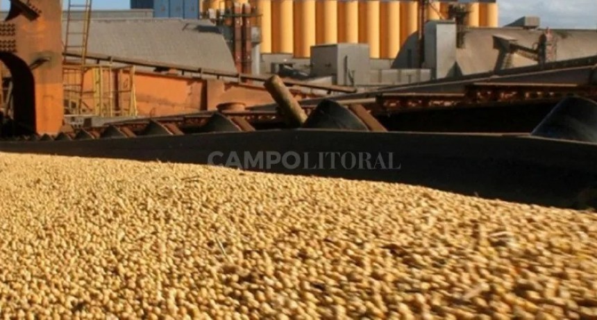  Estrago de la sequía: la molienda de soja fue la más baja en casi 20 años