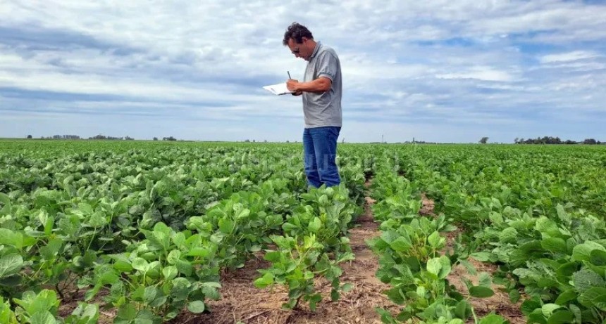  Escape de malezas y suelos planchados 