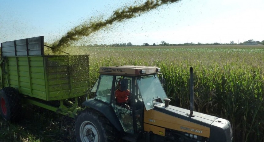El agro santafesino celebra la baja de retenciones y pide medidas permanentes