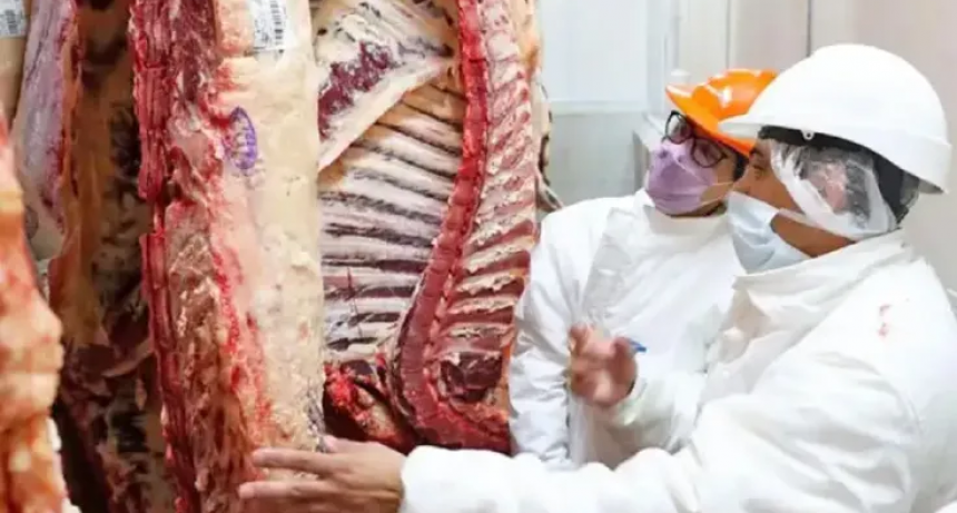 China impuso cupo y aranceles a la carne Argentina: el impacto en la ganader&iacute;a