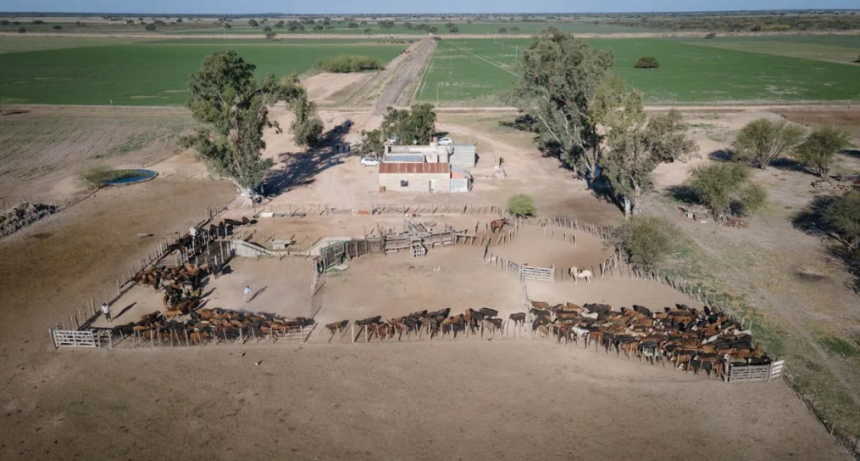 Balance 2025 de Carsfe: qu&eacute; dej&oacute; el a&ntilde;o para el agro y cu&aacute;les son las prioridades para 2026