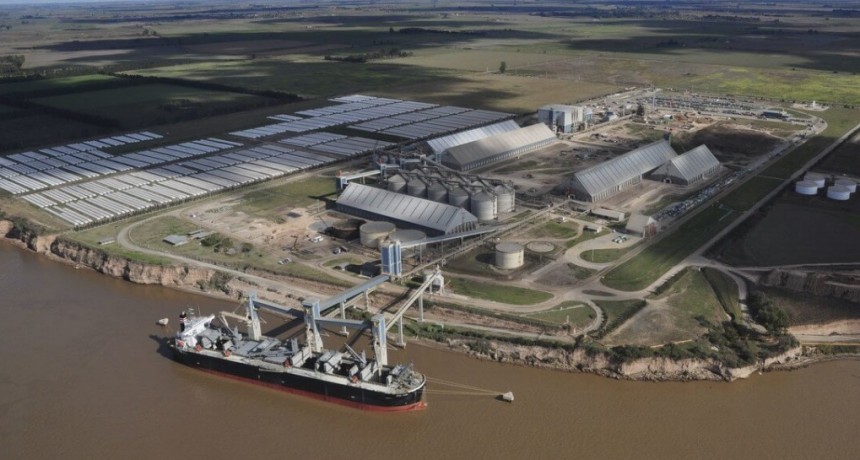 &iquest;Qui&eacute;nes lideraron el negocio de la exportaci&oacute;n de granos en el &uacute;ltimo a&ntilde;o?