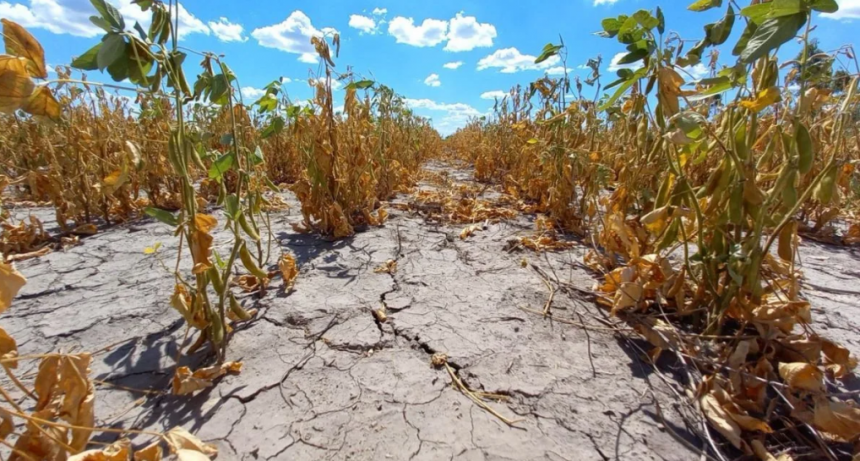Prorrogan la emergencia agropecuaria por sequ&iacute;a en Santa Fe: beneficios y c&oacute;mo acceder