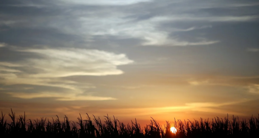 Perspectiva agroclim&aacute;tica: una semana marcada por el calor extremo y precipitaciones de distribuci&oacute;n irregular